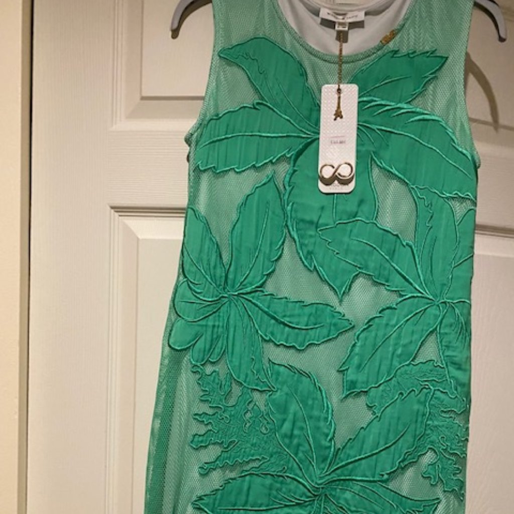 Brand New Waggon Paris Dress
